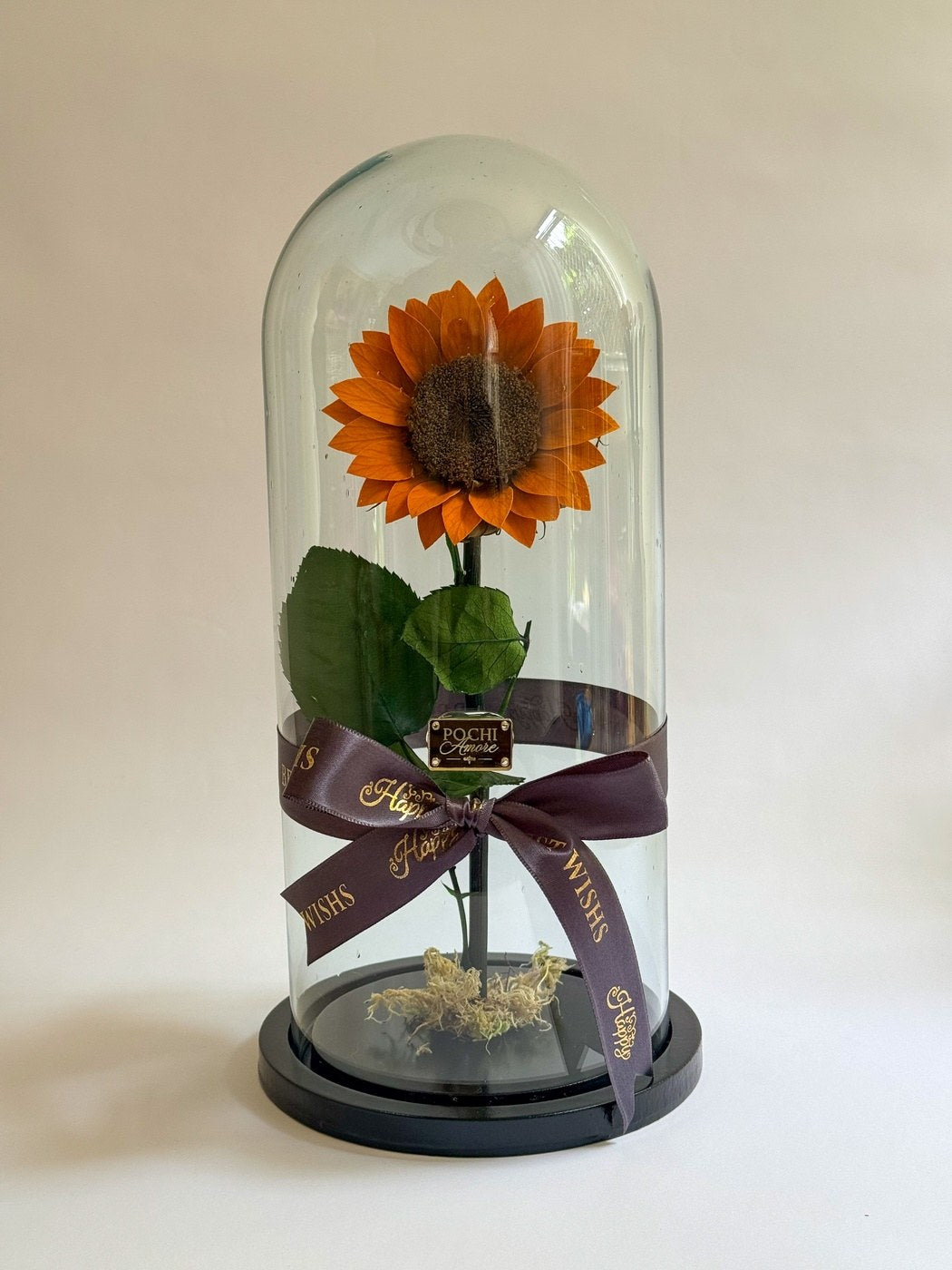 Girasol Eterno - Mediano