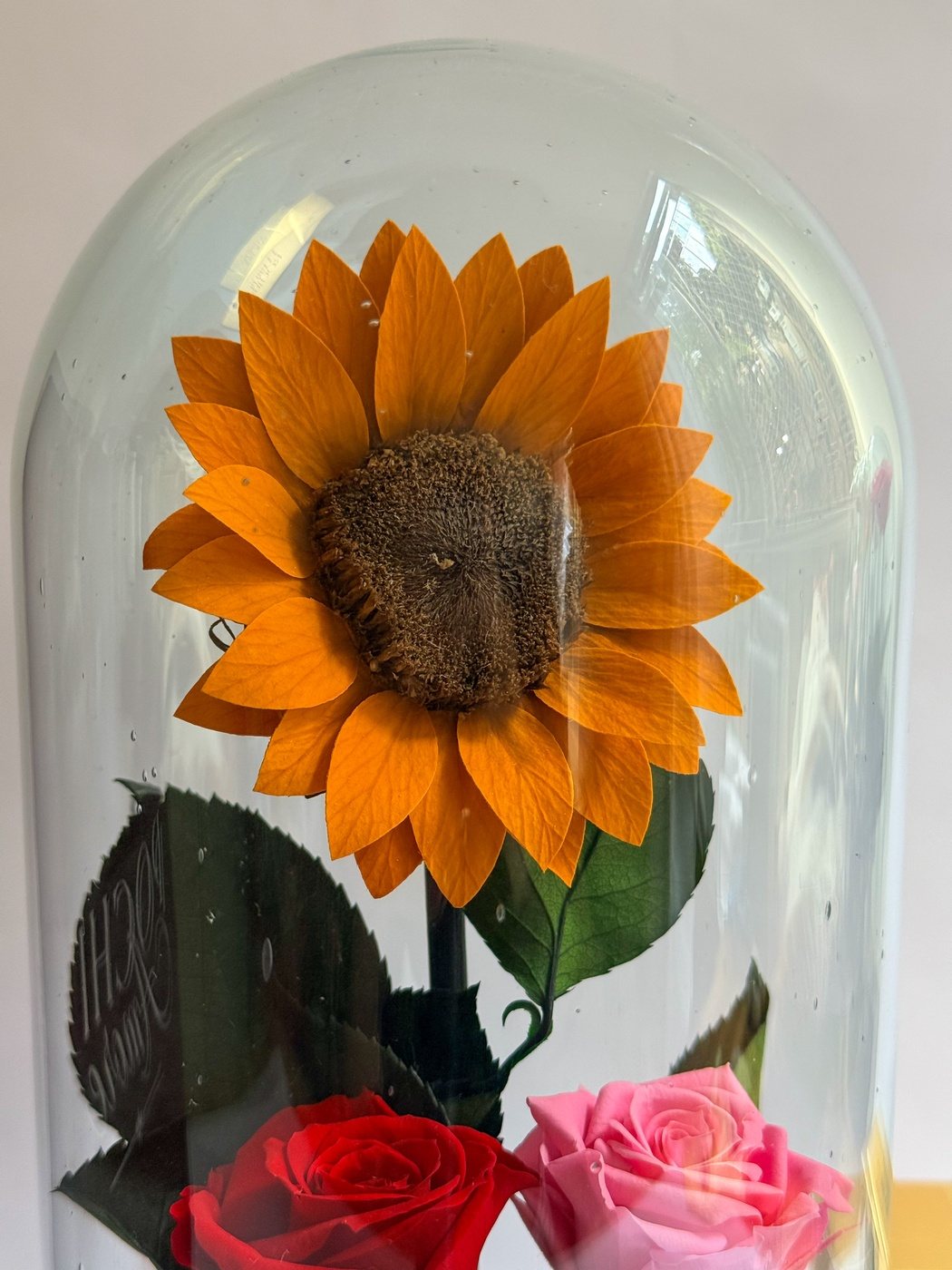 Girasol Eterno - Mediano
