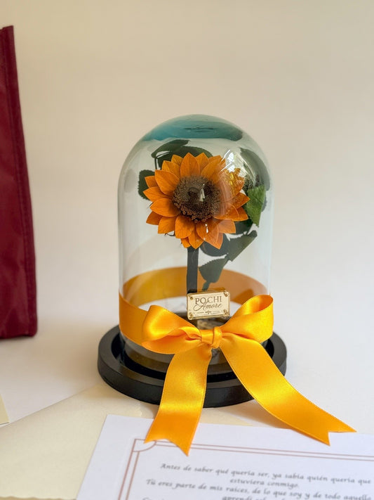 Girasol Eterno - Mini