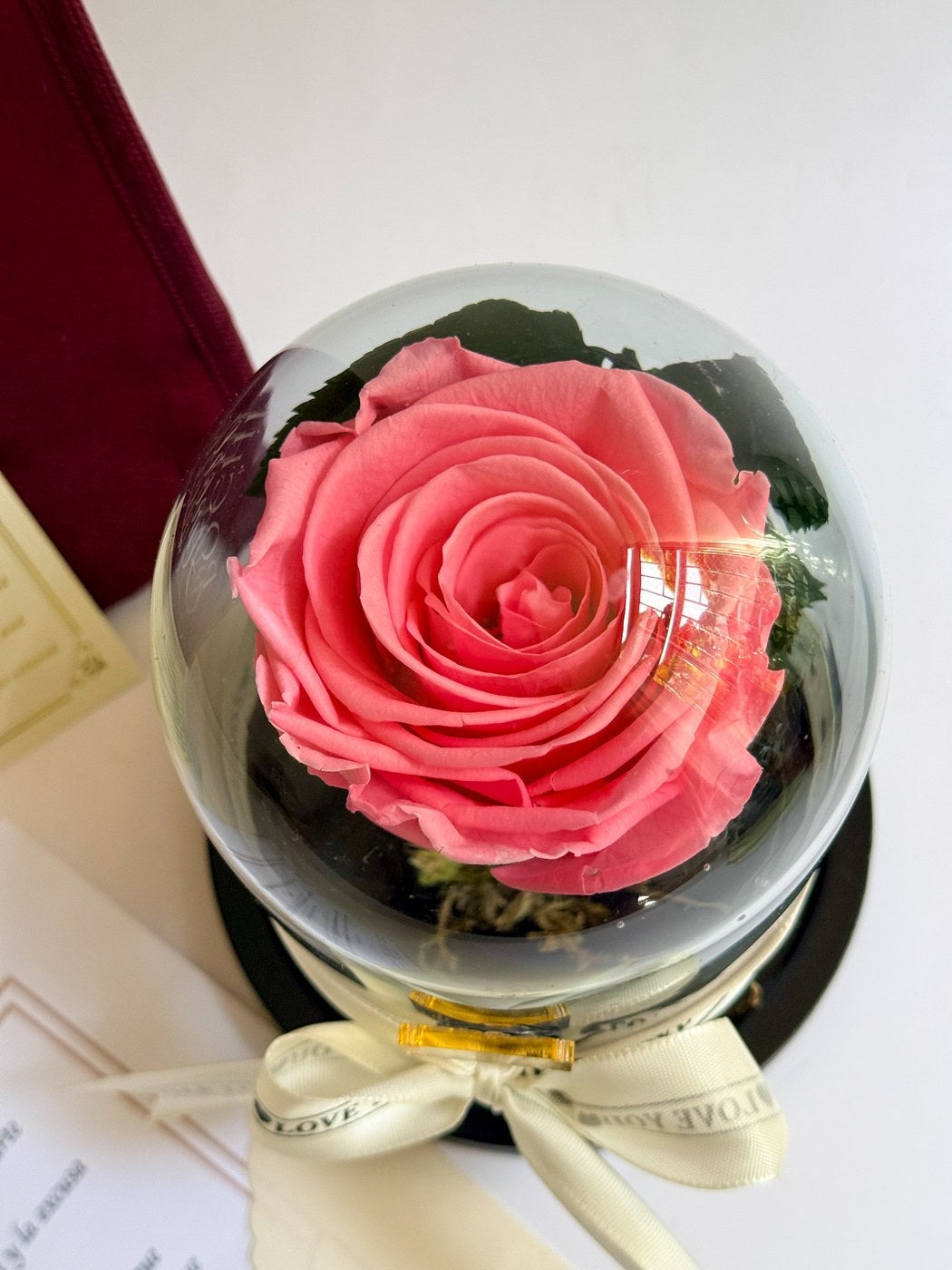 rosa