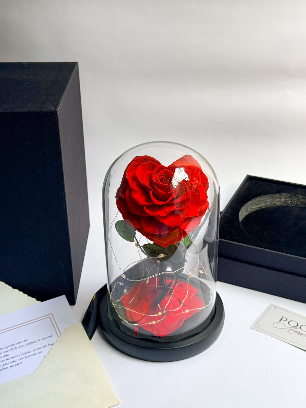 Rosa Eterna Corazón roja en cúpula de vidrio sobre fondo blanco