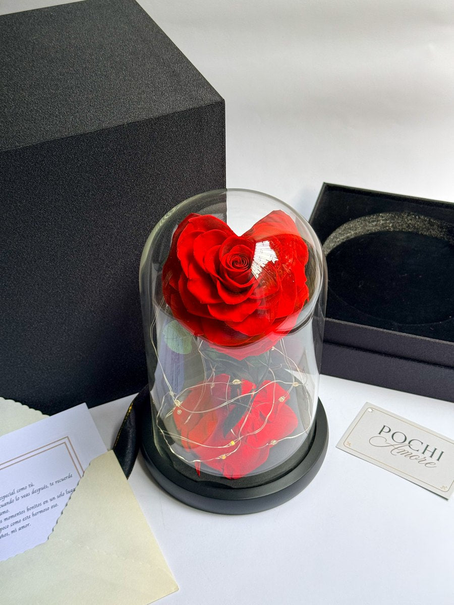 Rosa Eterna Corazón roja en cúpula de vidrio con caja de regalo negra