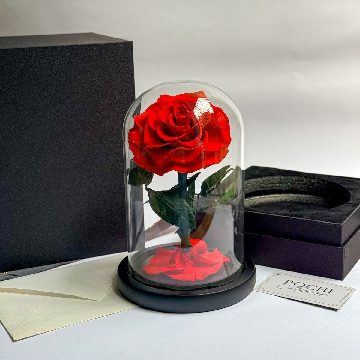 Rosa Eterna Deluxe roja en cúpula de vidrio sobre caja de regalo
