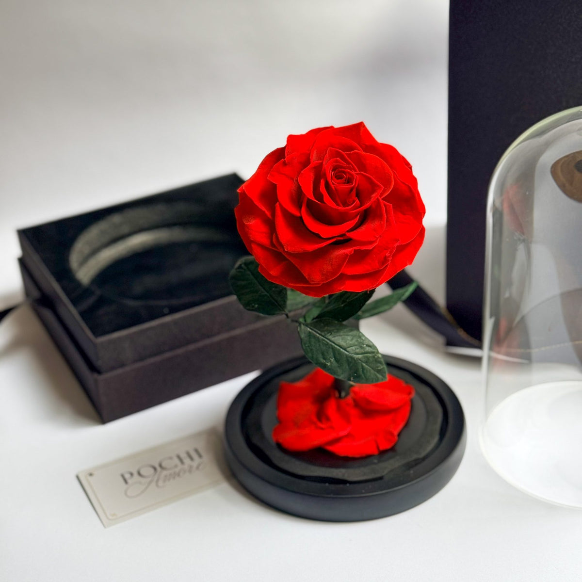 Rosa Eterna Deluxe roja en cúpula de vidrio, vista lateral