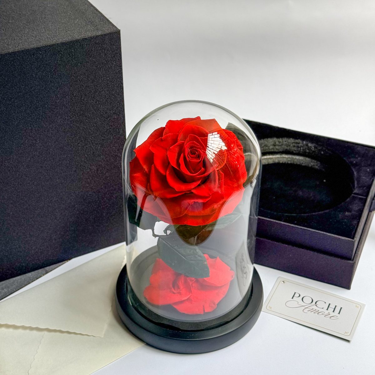 Rosa Eterna Deluxe roja en cúpula de vidrio, ángulo superior
