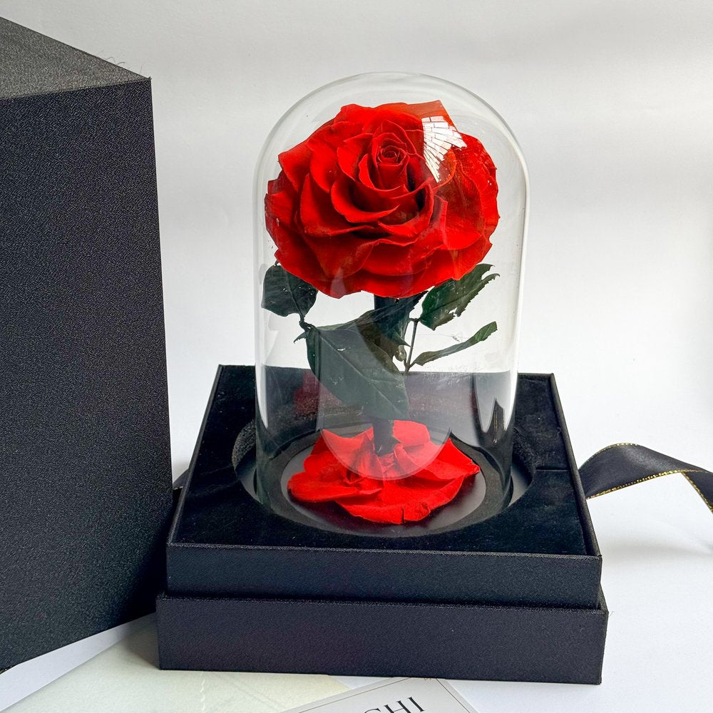 Rosa Eterna Deluxe roja en cúpula de vidrio junto a caja abierta
