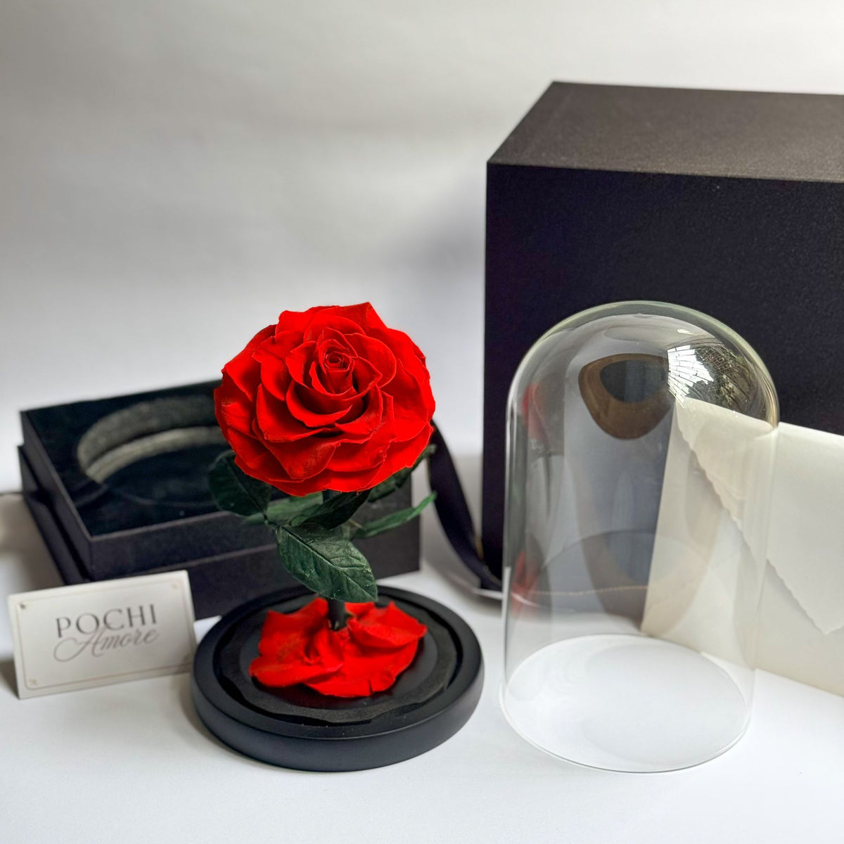 Rosa Eterna Deluxe roja fuera de la cúpula junto a caja de regalo