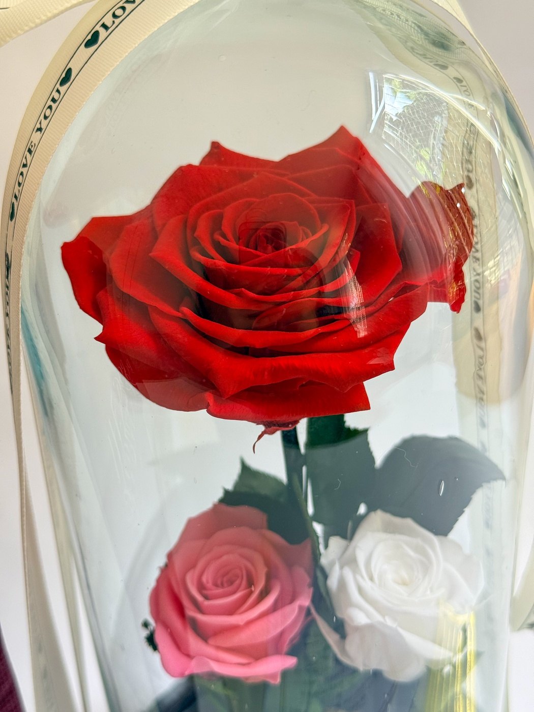 Rosa Eterna Tres Latidos - Grande