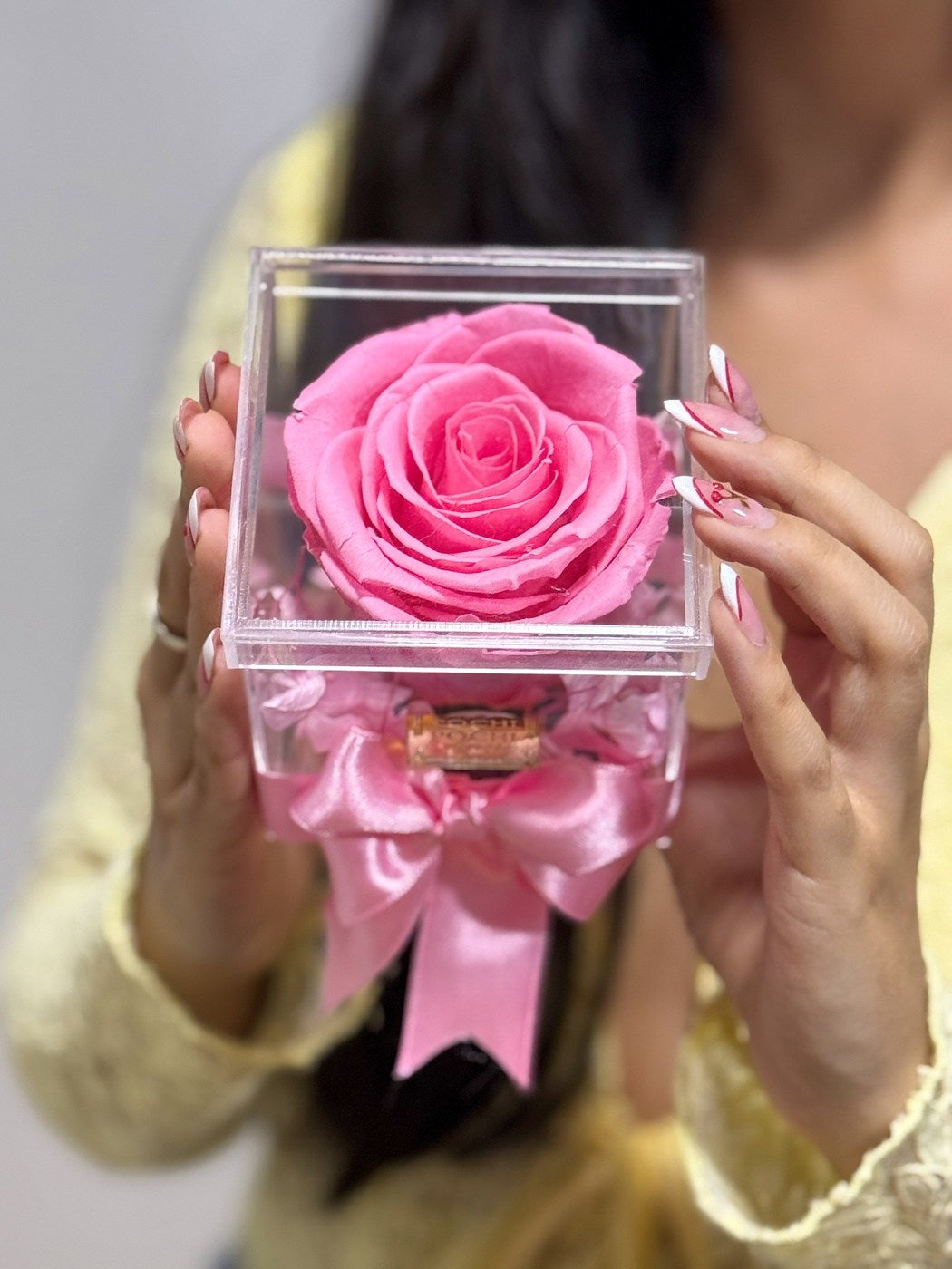 rosa